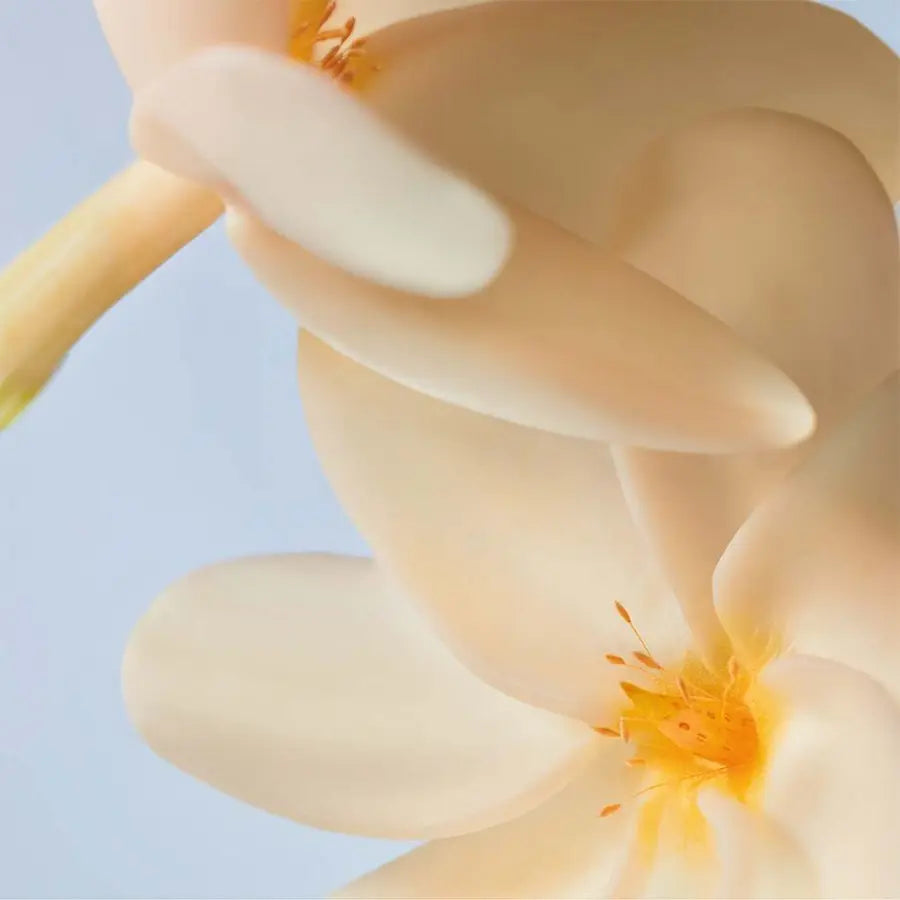 Körper Öl Peeling Monoi – Sanftes Peeling für glatte Haut & strahlenden Glow