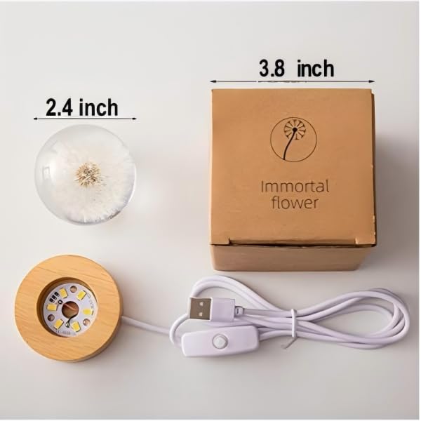 Kristallkugel Nachtlicht LED – Glas Kugellampe mit Holzsockel, Dekorative Blumen Lampe