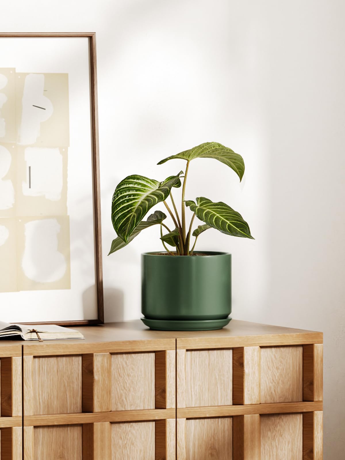 LE TAUCI Keramik Blumentopf 20cm mit Untersetzer – Grün, Zimmerpflanzen