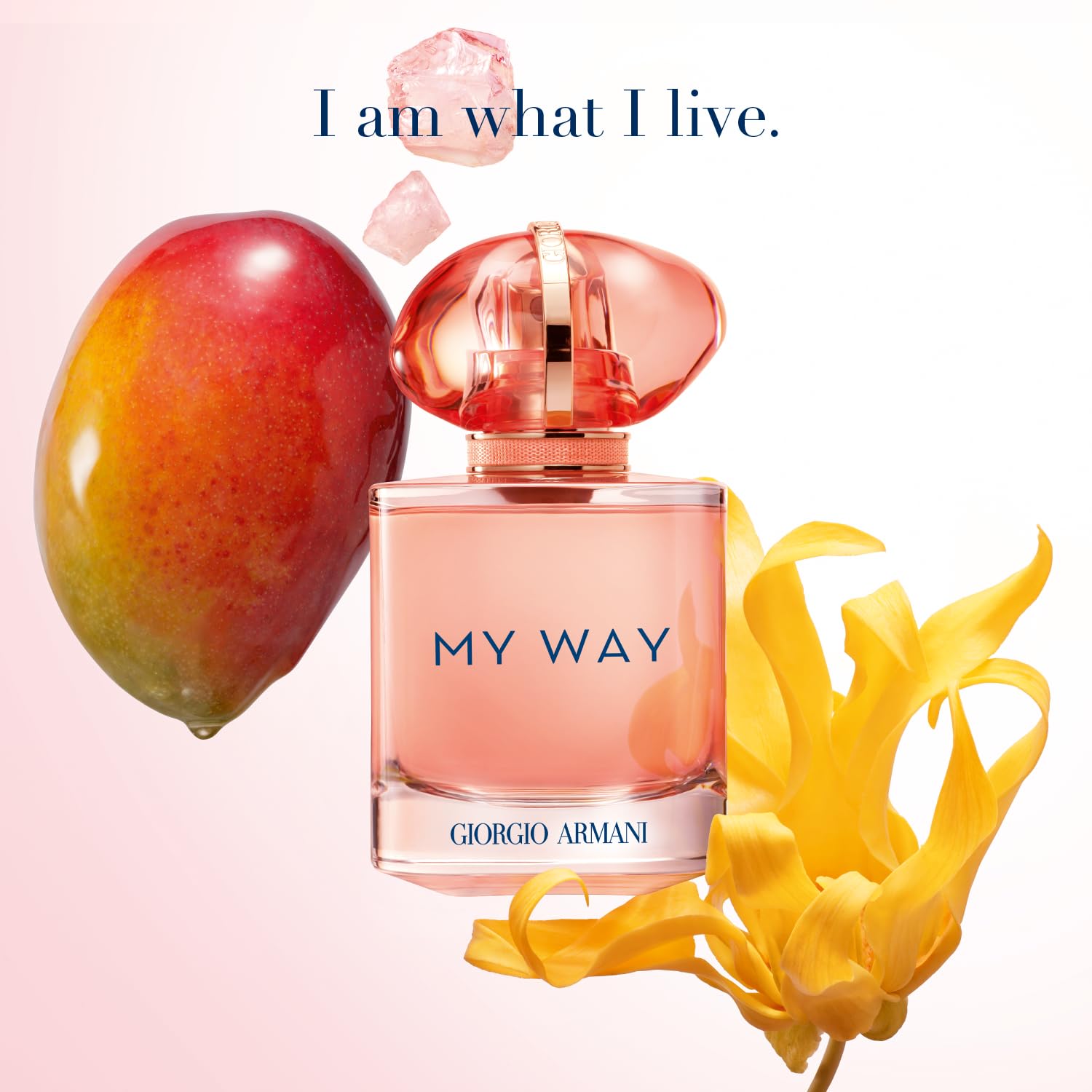 Armani My Way Ylang Eau de Parfum 50ml – Blumig-fruchtiger Damenduft