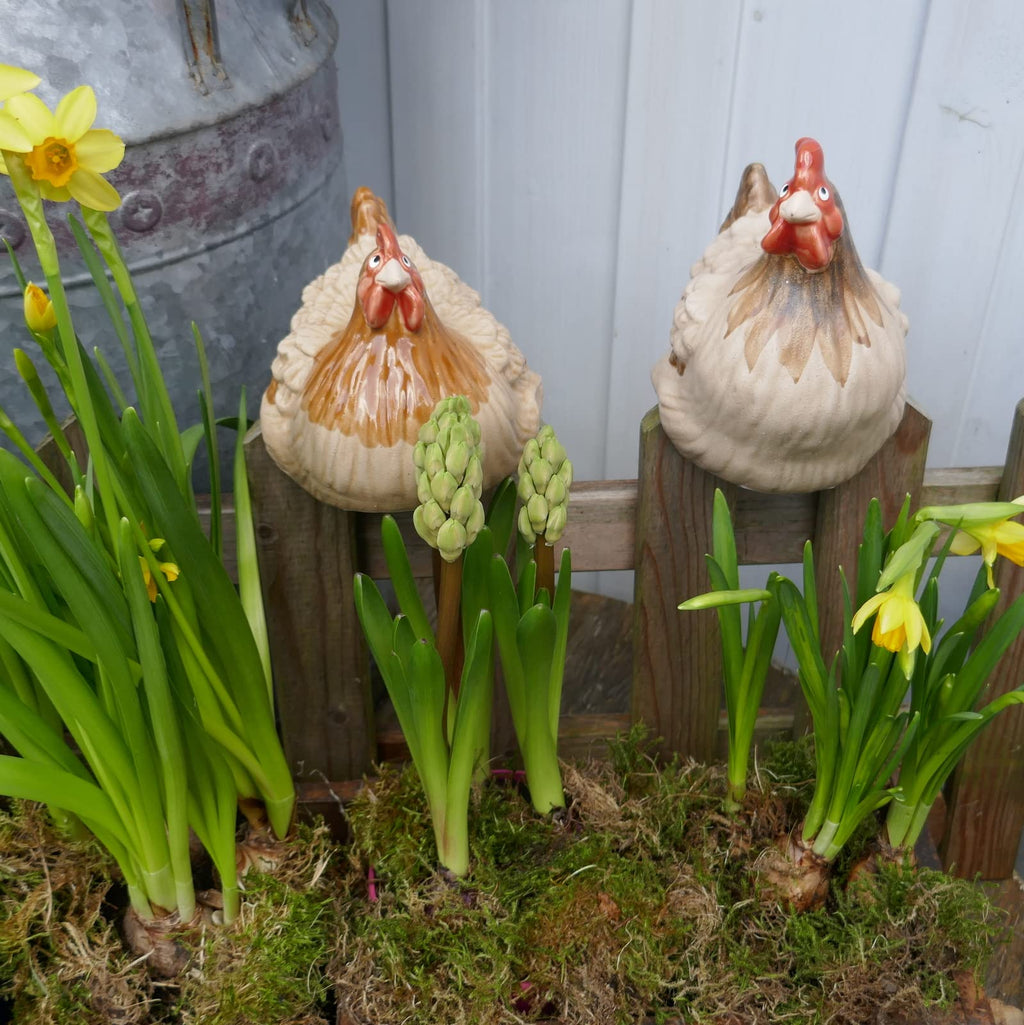 Lustige Hühner Deko 🐔 Keramik Gartenfigur für Balkon Terrasse & Blumentopf