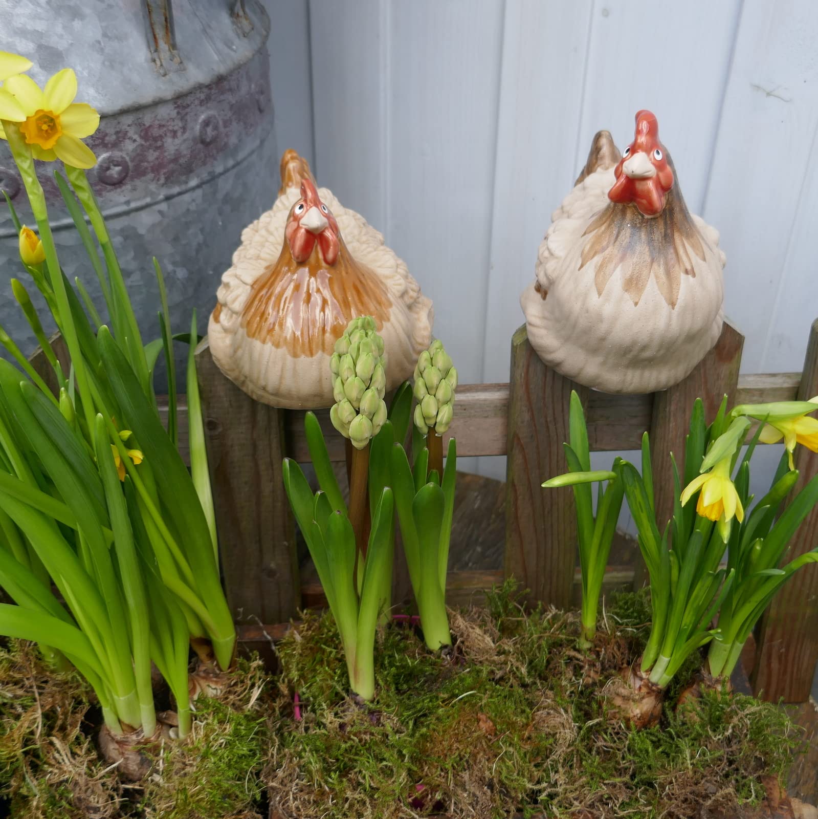 Lustige Hühner Deko 🐔 Keramik Gartenfigur für Balkon Terrasse & Blumentopf