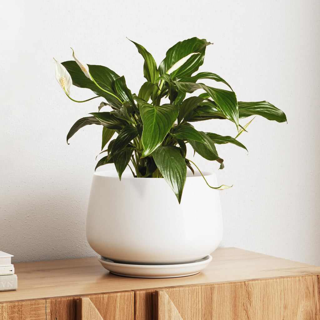 LE TAUCI Keramik Blumentopf 25cm Mattweiß – mit Untersetzer, Innen