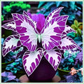 Exotische Hosta Funkie Winterhart – Auffällige Blattschönheit für Schatten Garten & Balkon