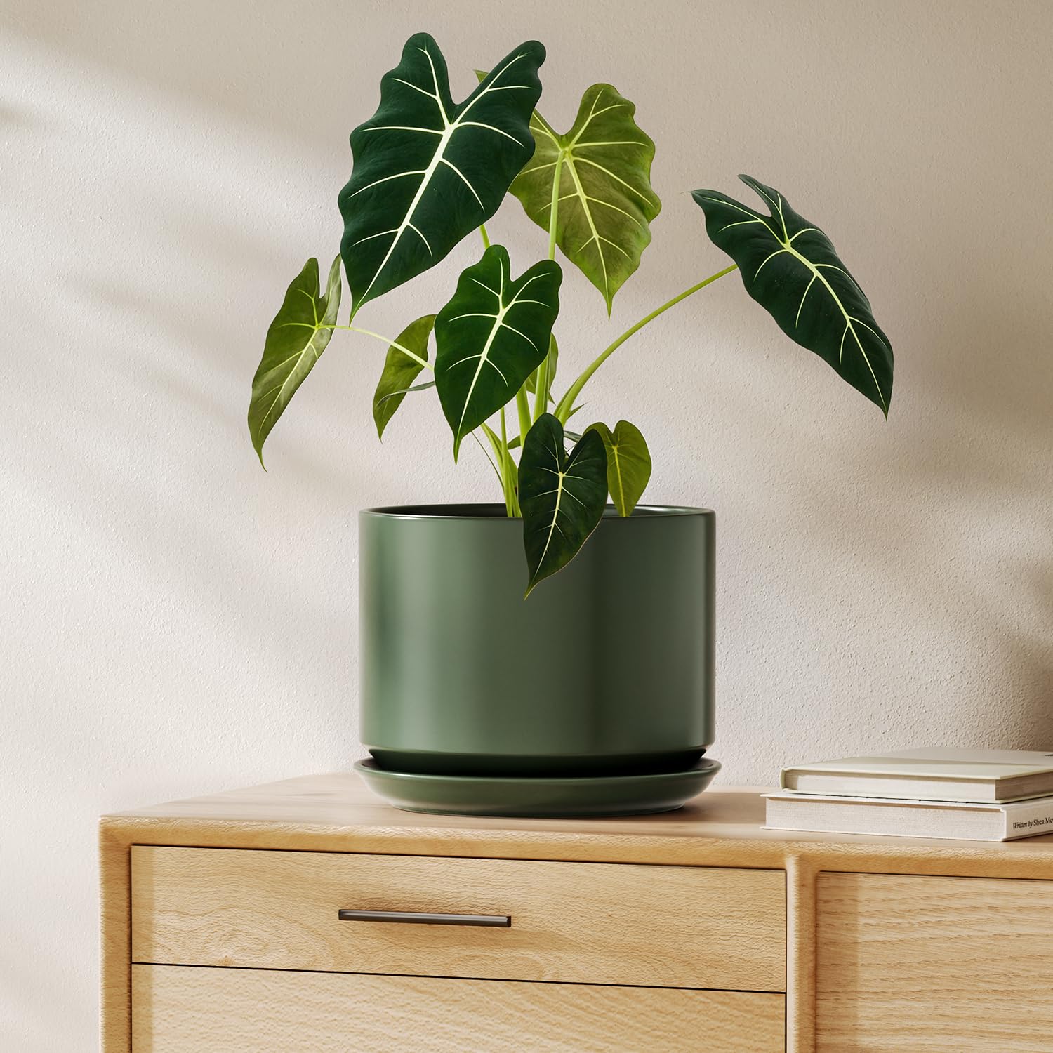 LE TAUCI Keramik Blumentopf 20cm mit Untersetzer – Grün, Zimmerpflanzen
