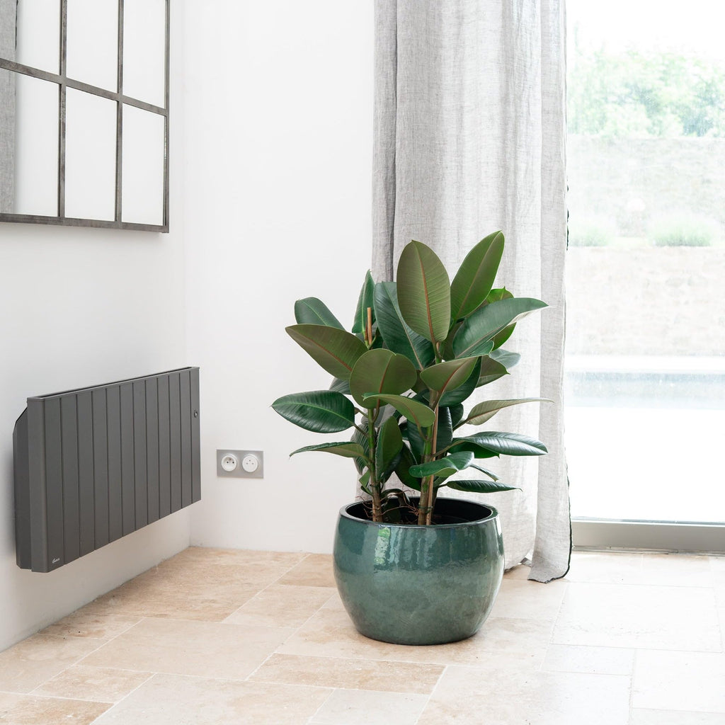 Keramik Blumentopf Jade – Stilvoller Pflanzkübel für Balkon, Garten & Zuhause