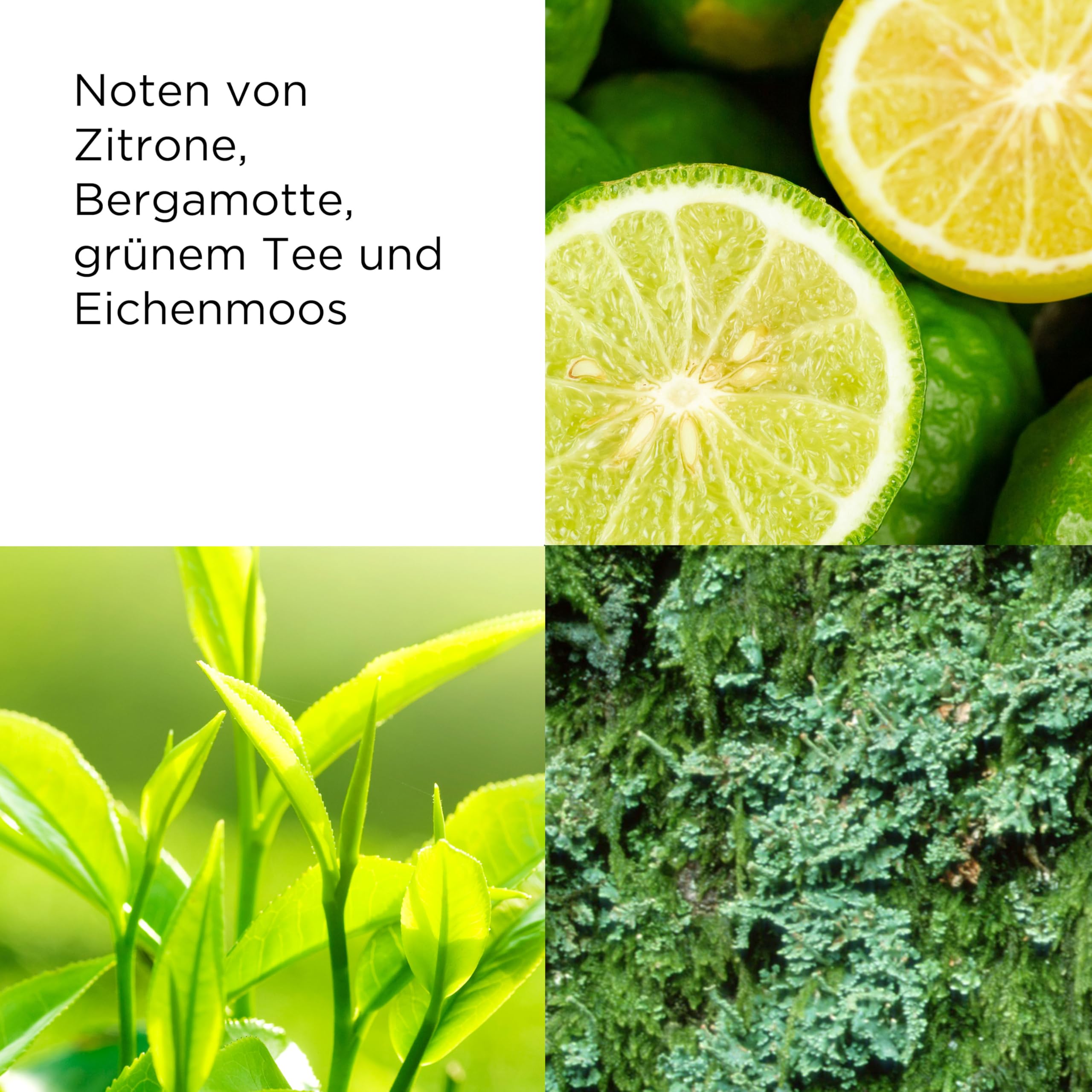 Elizabeth Arden Green Tea Eau de Parfum – Frischer, leichter Damenduft mit Zitrusnoten