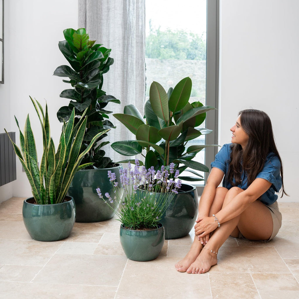 Keramik Blumentopf Jade – Stilvoller Pflanzkübel für Balkon, Garten & Zuhause