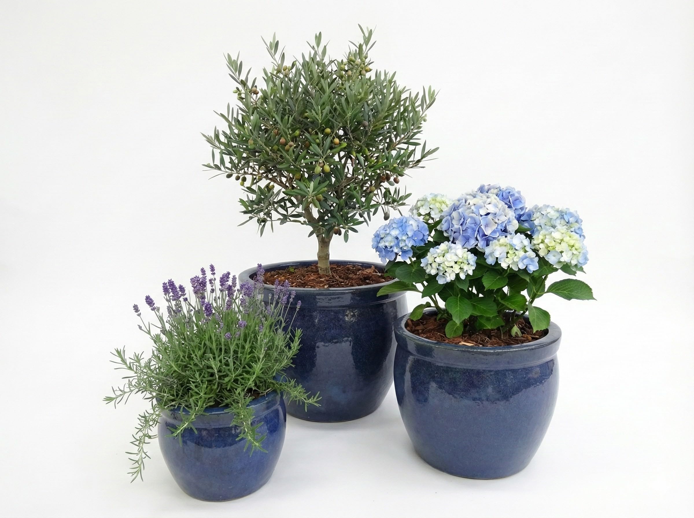 Frostfester Keramik Blumentopf – Pflanzgefäß für Balkon, Terrasse & Garten