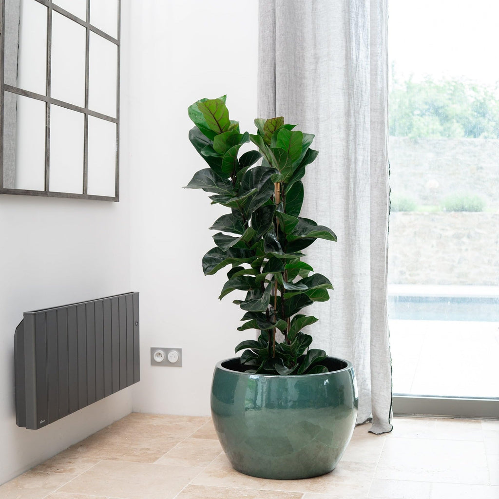 Keramik Blumentopf Jade – Stilvoller Pflanzkübel für Balkon, Garten & Zuhause