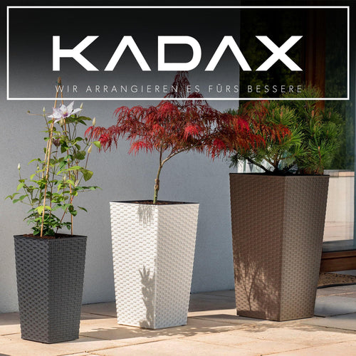 3er Set Pflanzkübel mit Innentopf – Moderne Blumentöpfe für Balkon & Garten