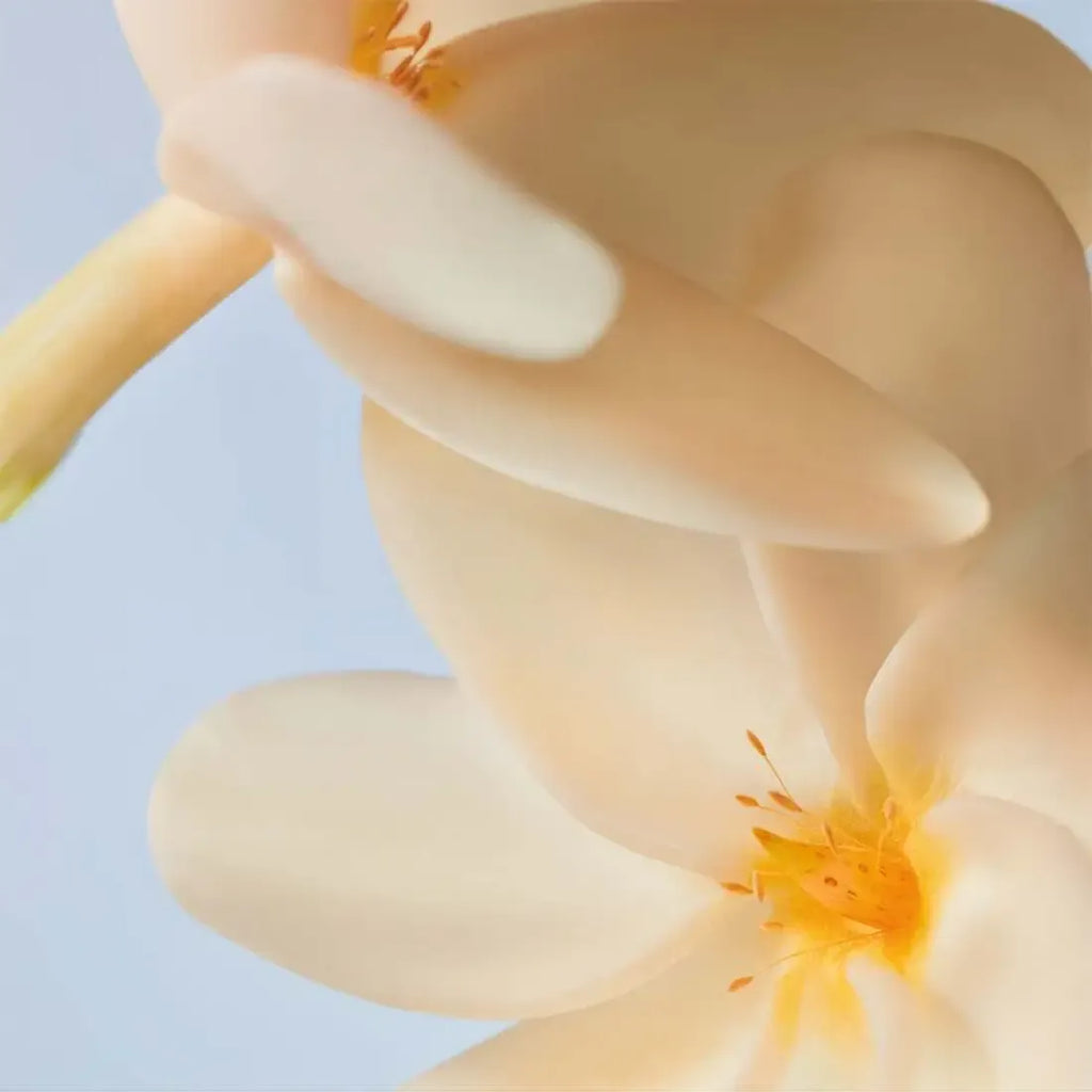 Yves Rocher Traditionelles Pflege-Öl Monoi 100 ml – Für Körper & Haare